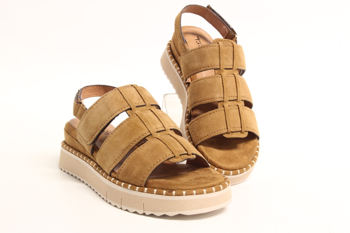 Stacks Image p8299_n2447