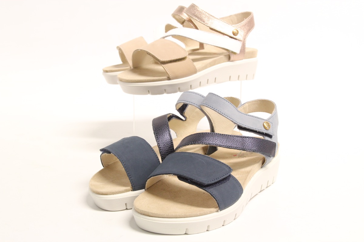 Stacks Image p8299_n2642