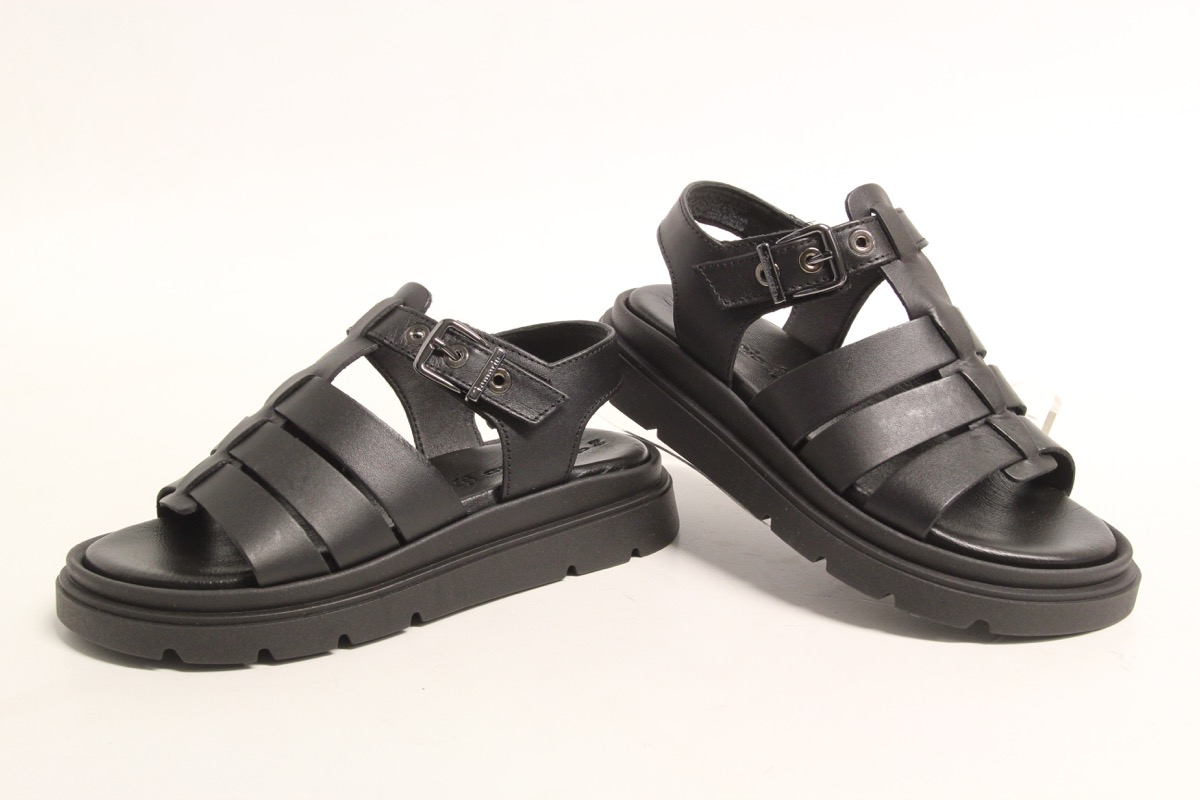 Stacks Image p8299_n2420