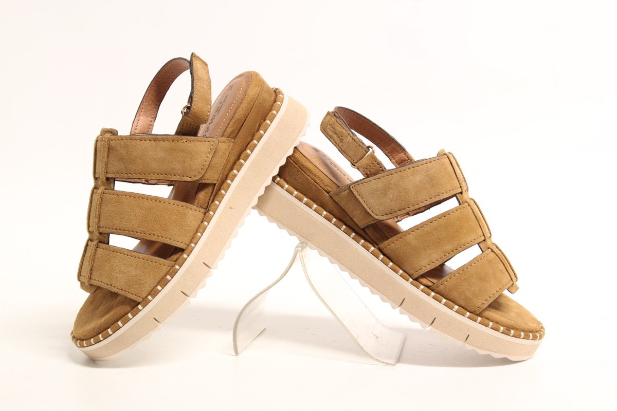 Stacks Image p8299_n2457