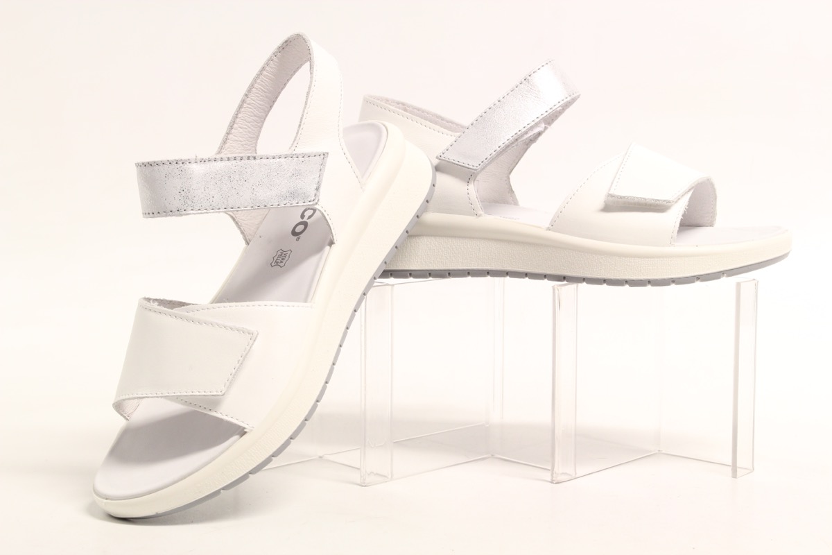 Stacks Image p8299_n2570