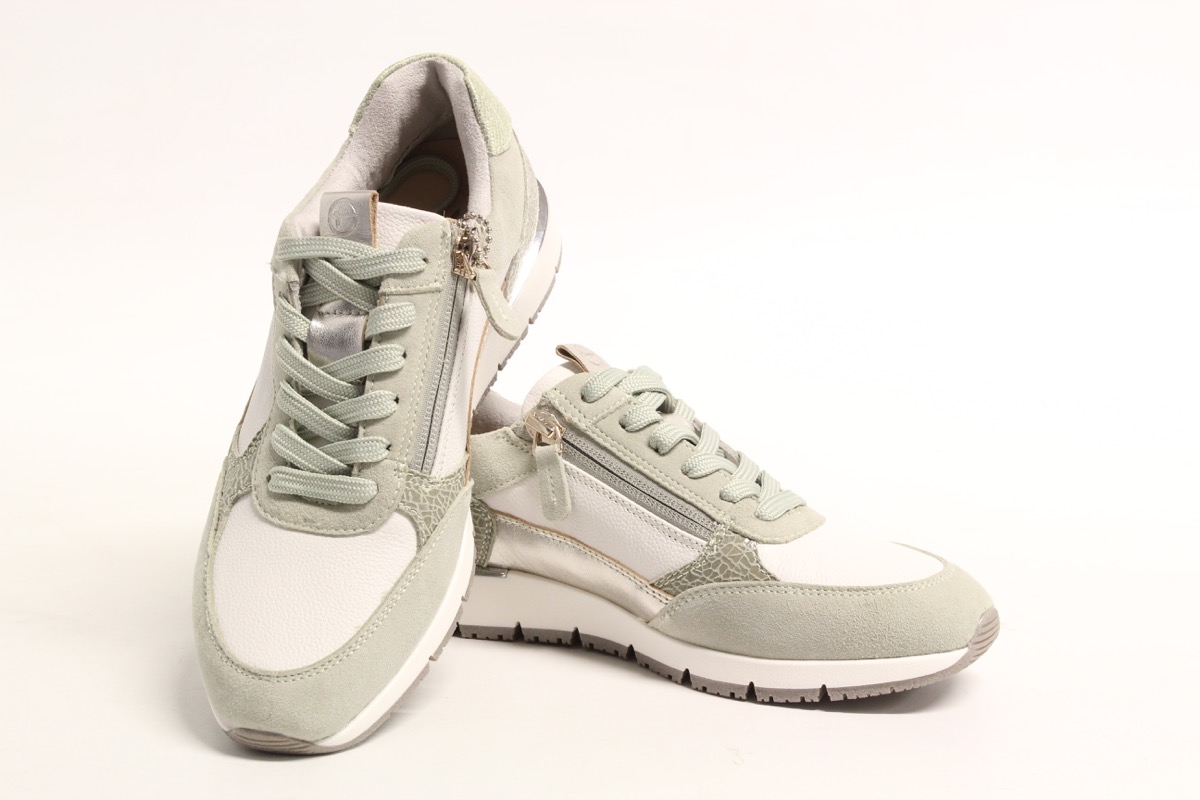 Stacks Image p2513_n232